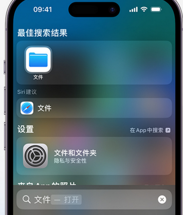 若尔盖apple维修中心分享iPhone文件应用中存储和找到下载文件 