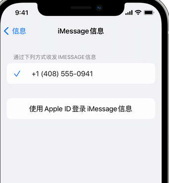 若尔盖apple维修iPhone上无法正常发送iMessage信息 