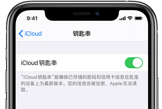 若尔盖苹果手机维修分享在 iPhone 上开启 iCloud 钥匙串之后会储存哪些信息 