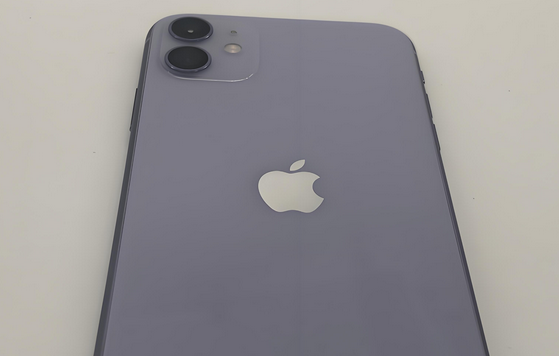 若尔盖苹果11系统维修分享iPhone11手机系统崩溃无法开机如何解决
